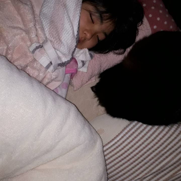 C75ca99c 1d6b 42e9 b731 ae9bab89ec64 1517848974059