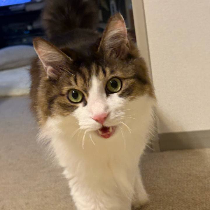 C75cb934 d336 4ec6 81da 3778c9c5a834 1768875899230