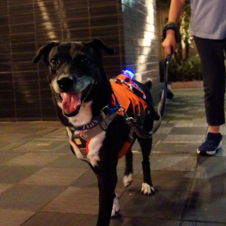 C75cc74d 3875 46b0 84a7 460dd0c9fbc5 1728213095113