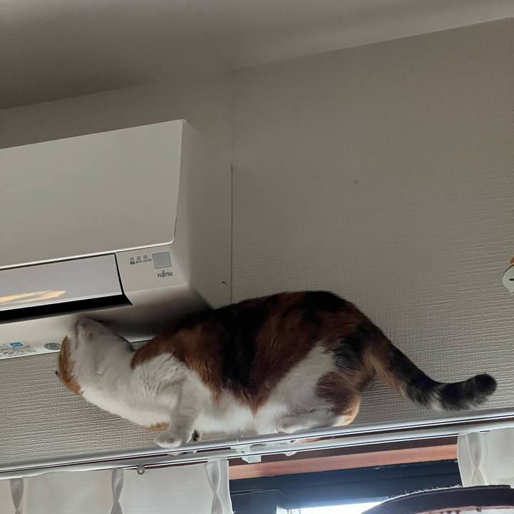 C75cf51d ff8a 4ea1 af03 21fc78fad1ef 1734705114456