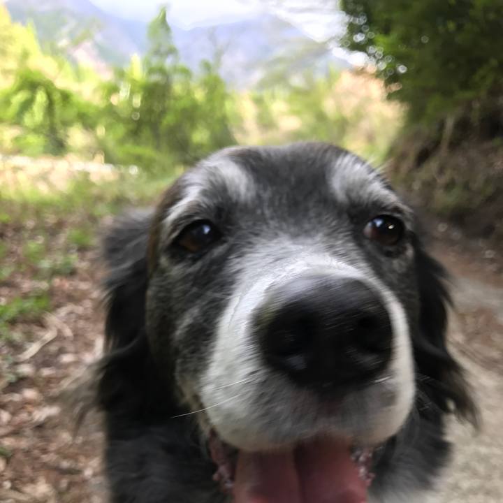 C75d07ba e142 4d99 8ea6 812ec15ca784 1523409134178