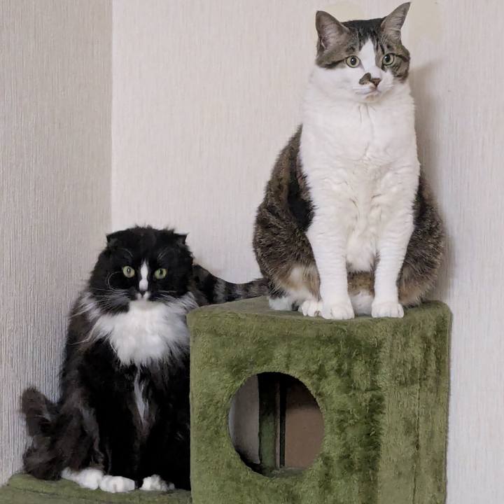 C75d19c0 558d 4a1e 9e2a 86584edfb33c 1741519512514