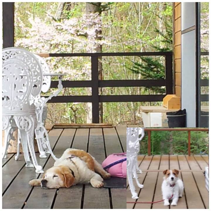 C75d1e08 1add 42a6 8141 d38cdc7215be 1558275636116