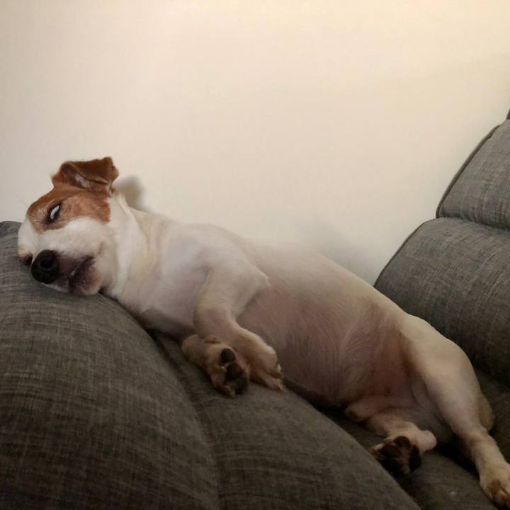 C75d5339 d5f2 4a10 a7db 179a46dd402b 1756542627602