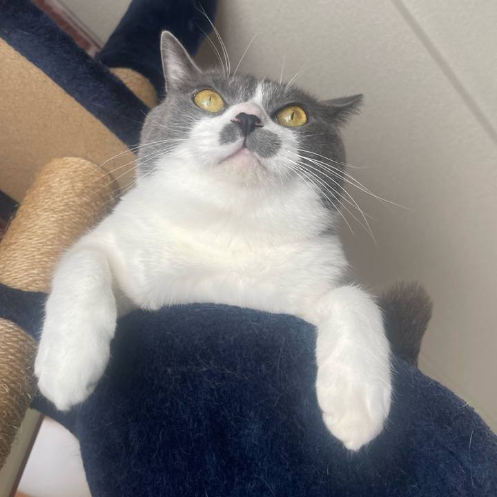 C75d57d0 466f 4686 b2cc 84140bcb520f 1730942631539