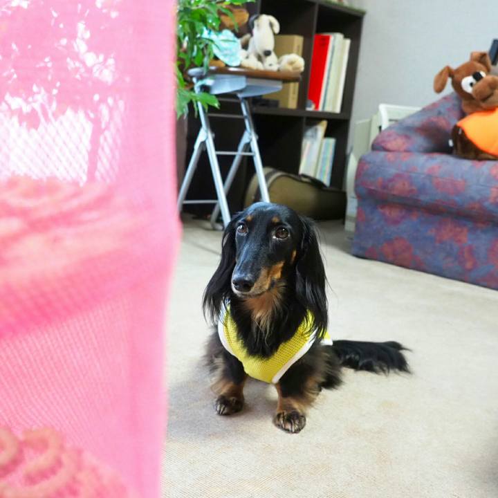 C75d67c4 a985 4a6b 8bd3 92725f54a2a3 1531967036558