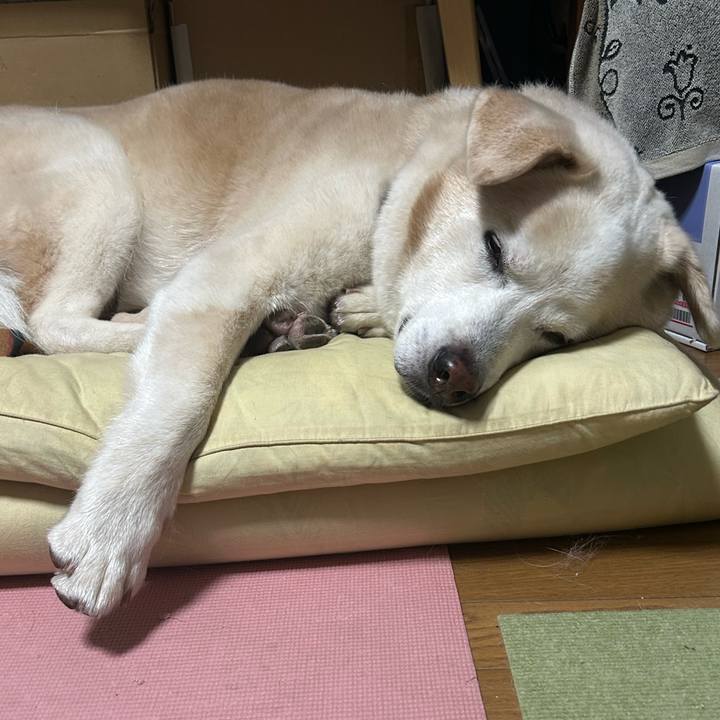 C75d86de 9d04 4606 acc4 94dba19cc0d8 1754395111769