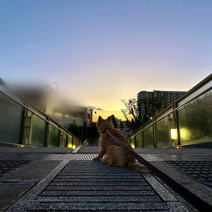 C75d89c5 acce 48b1 961e 1f700274de4e 1730971001761