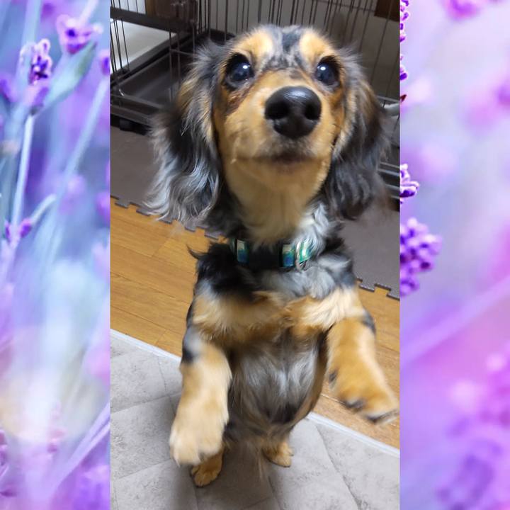 C75da7c8 8aac 471c b464 bc969af53096 1704882866055