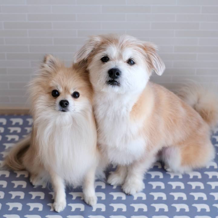 C75daa26 c135 4b20 911f e13bf8fb16db 1773699504111