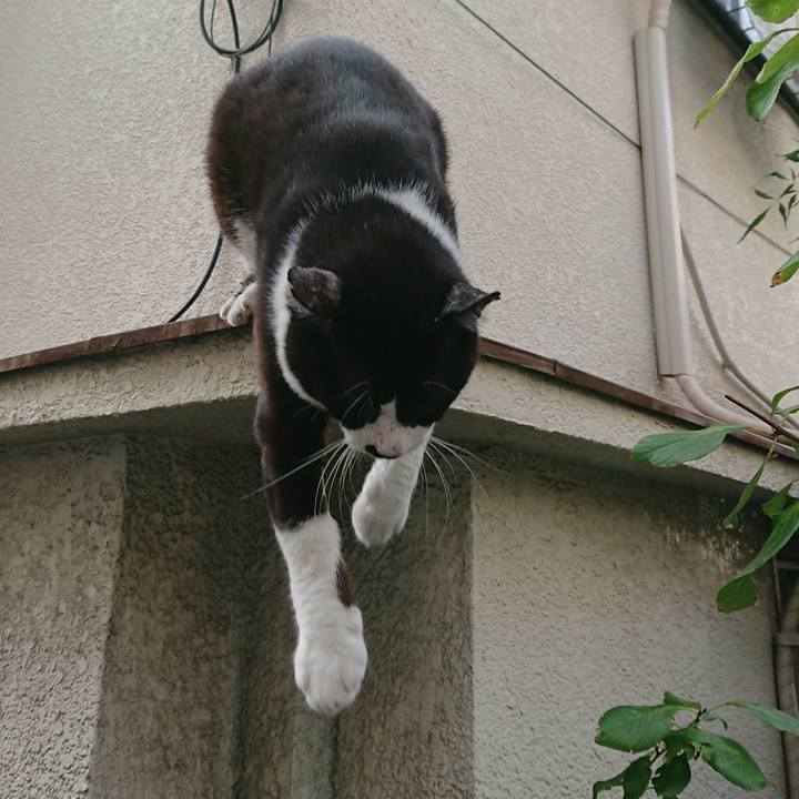 C75daf9e 19bb 4f79 895d 0ae9a0b04cf4 1537164430108