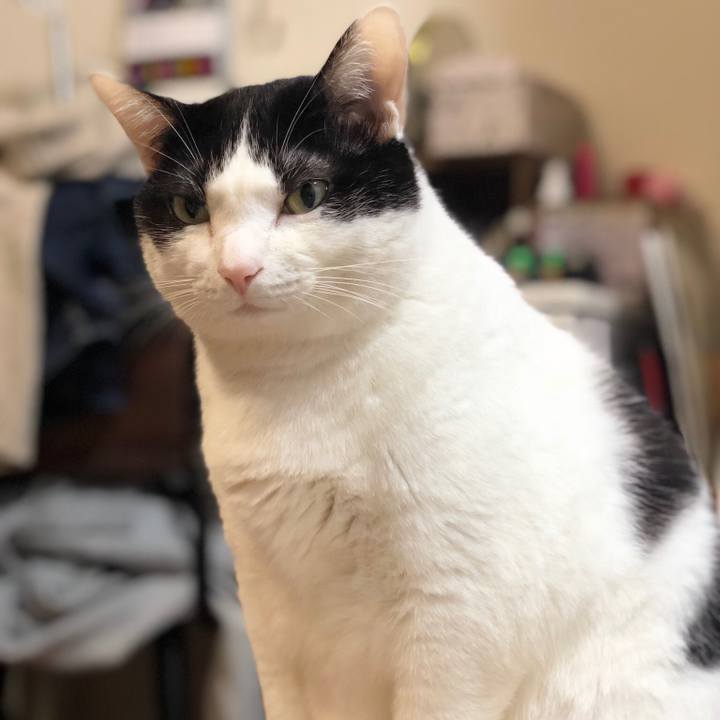 C75de375 77d6 4477 9566 c36de8691834 1548724997152