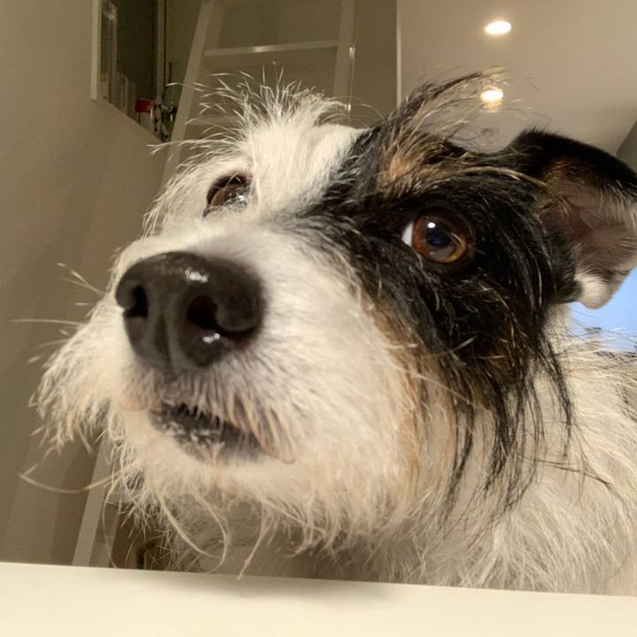 C75dec5f f628 4f54 83e6 681262327a00 1636277392853