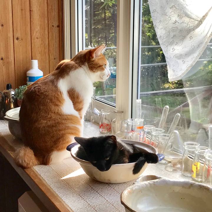 C75df93d 3e04 4ea2 a563 700a9bd22551 1567204628596