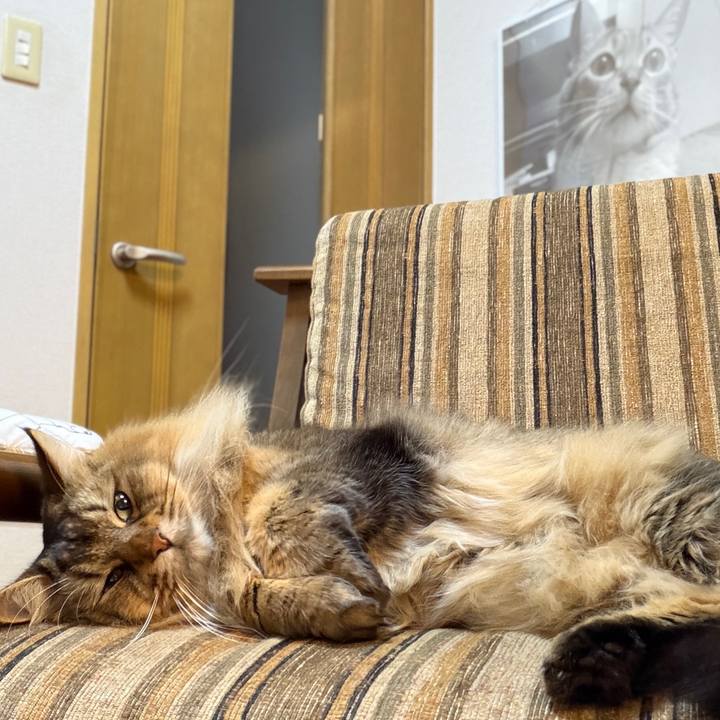 C75e07ad 4abd 4192 a4eb fb94ce04baad 1766631031818