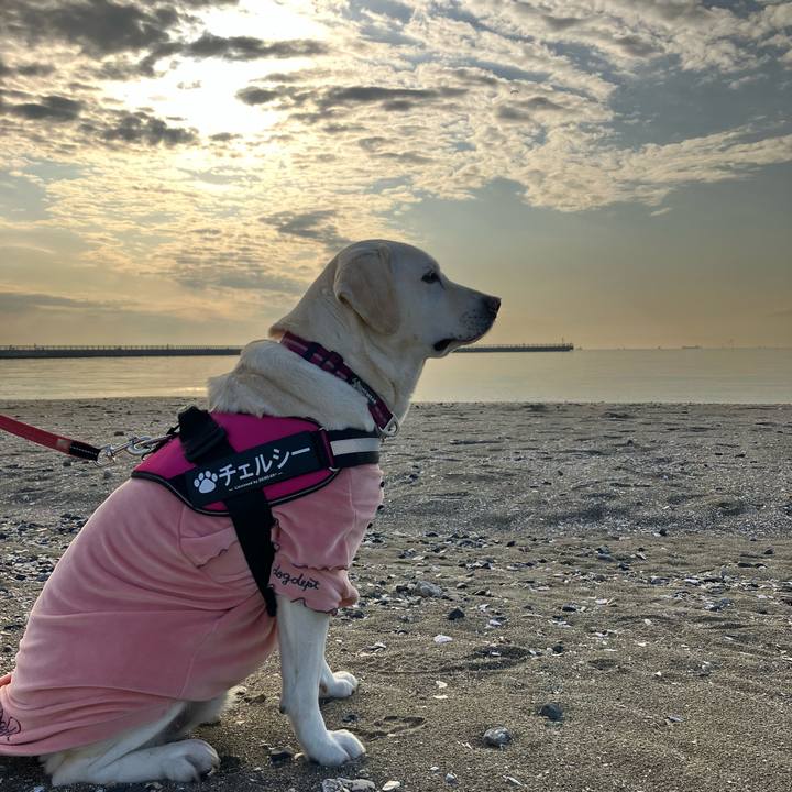 C75e13ac f0b2 43ee a58d 90fb3913634a 1674053153694