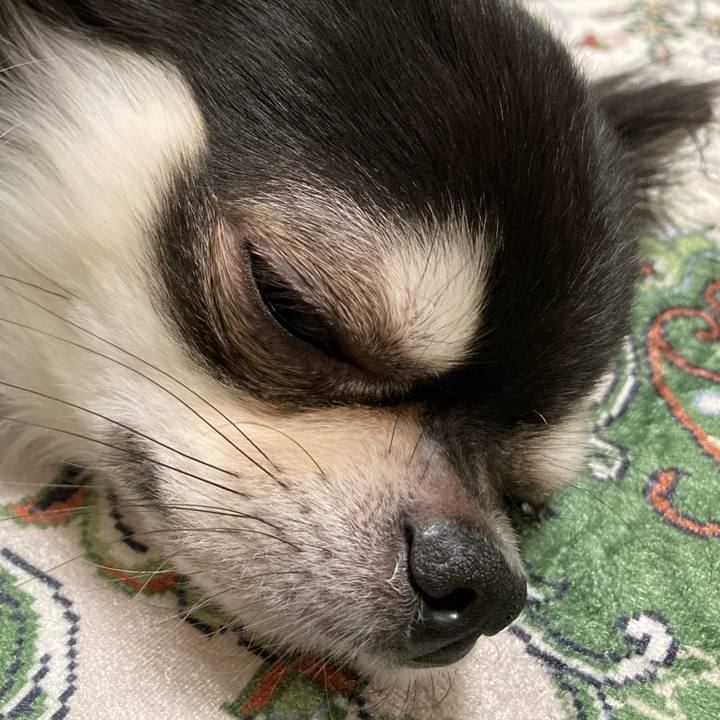 C75e2436 feb4 4899 8e45 a82a919ea905 1667483248335