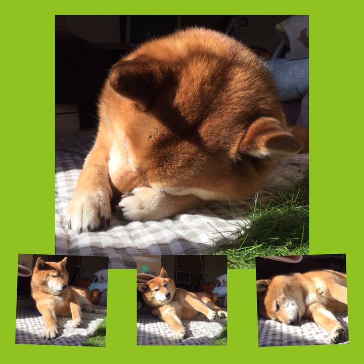 C75eb4e4 68a2 413b a02c d832065af88d 1555139416509