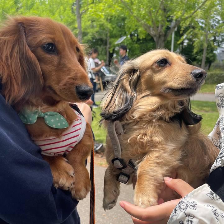 C75eec7a 168d 4597 9b3f 0330abbb7d9a 1716862005821