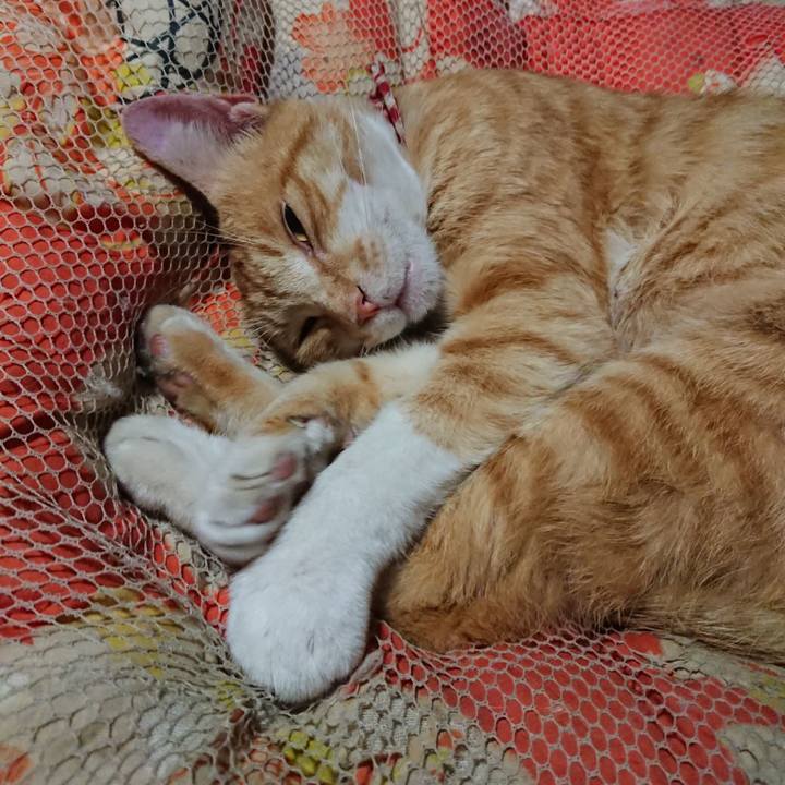 C75efe9f b641 4e28 9a04 6d3461df48f6 1560603662097