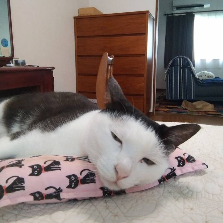 C75effd0 7644 45b7 959d d0e20bc9ce4d 1625280007727