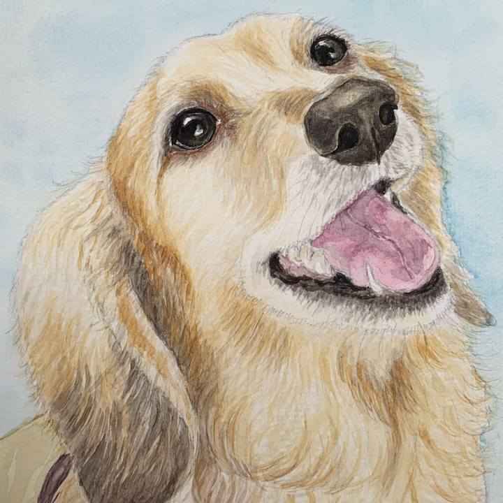 C75f3aa3 8681 4845 8119 dc90ca087a7a 1686382220006