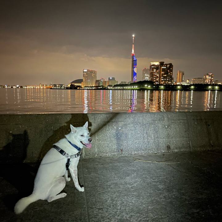 C75f544f 9b51 419b 874b 5cc418965b46 1631365409787