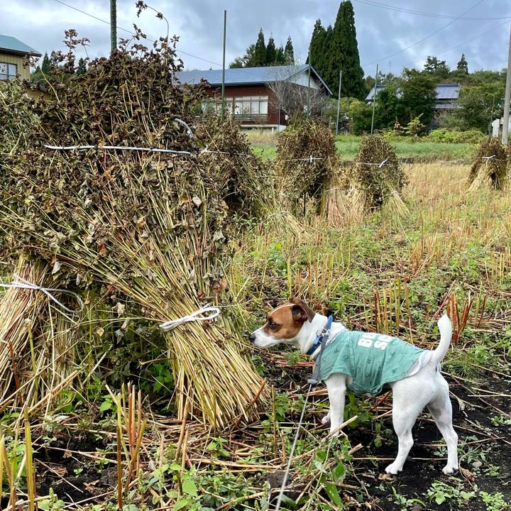 C75f6833 45ab 4fd8 b073 e9fa87241041 1633507964601