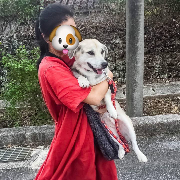 C75f873e 7d5f 46c3 9883 6333fe901a40 1511424668709