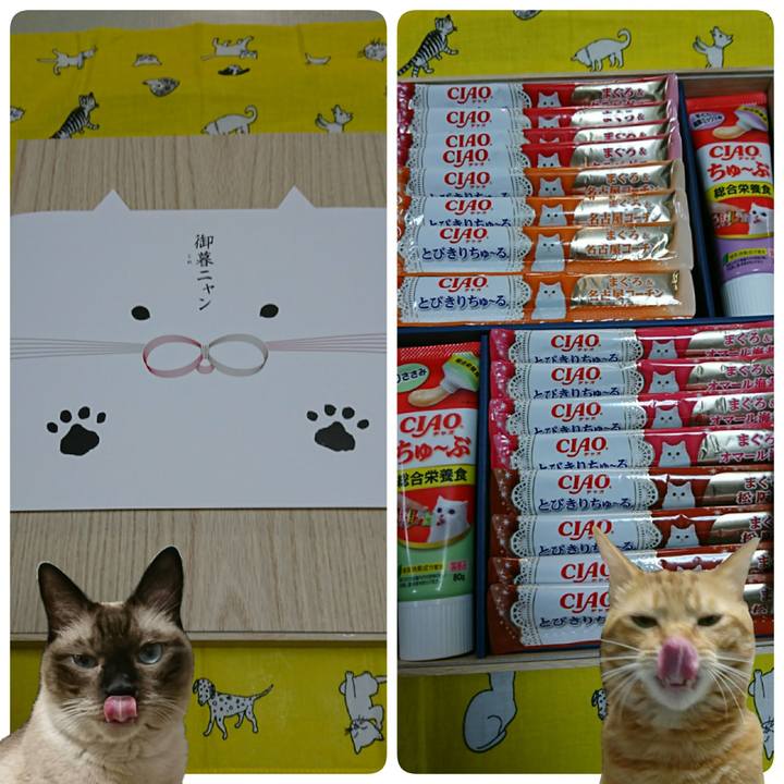 C75f8f3b cab9 41a8 82ef 56d7a0f945d7 1542793967235