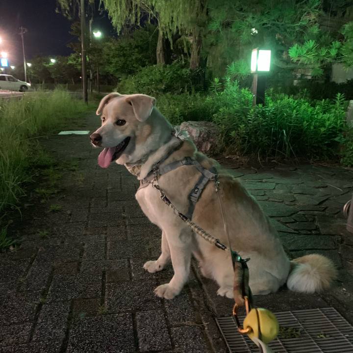 C75f933d cb94 4b5d a173 982847a44ea5 1567432671206