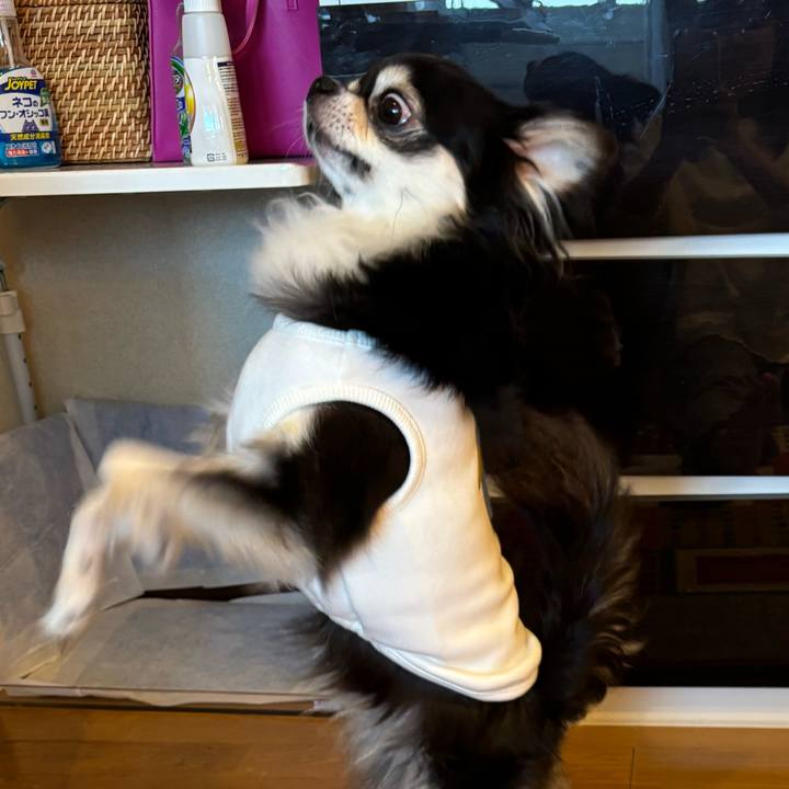 C75fba75 9bba 410a 9184 a37d23fb70fc 1730653271560