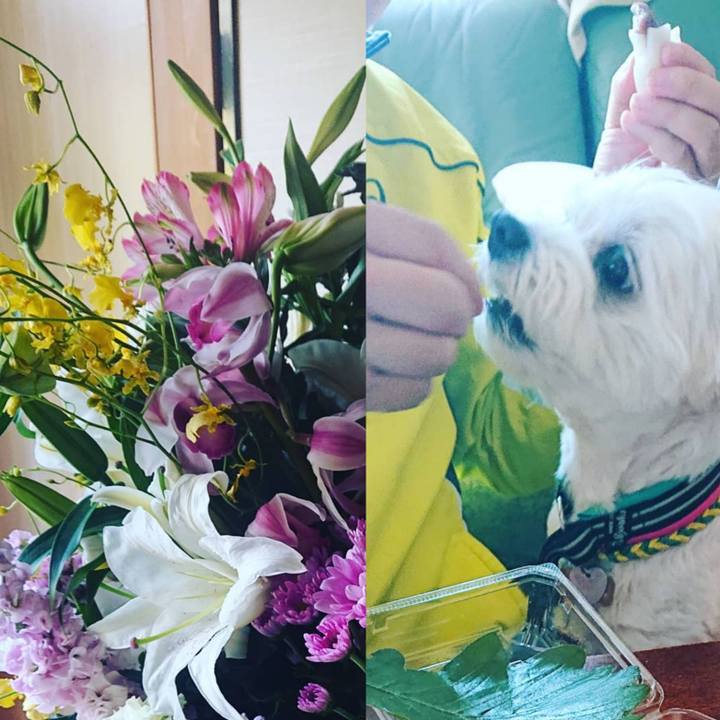 C75fc7df 8d91 473e 8de1 f35a7252aae6 1588311834175