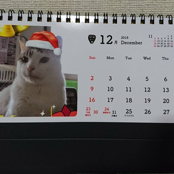 C76011bf 8b5c 4706 9905 140a3625c96e 1510972620326