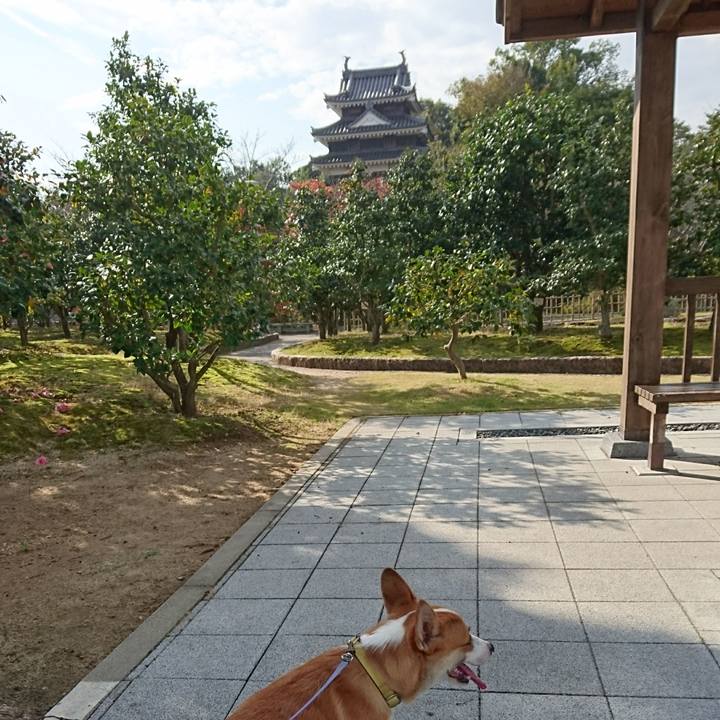 C760382b 0b7d 41a0 9bed f192016e2f06 1579515633482