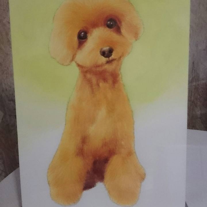 C7603b06 3efb 4a2b be0f e4ded4bdf3fe 1534837756345