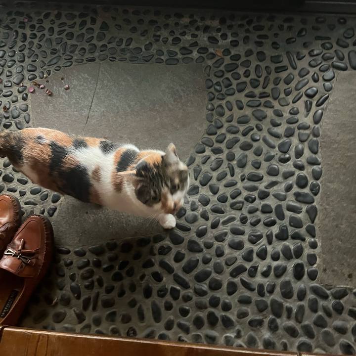 C7606503 3cf8 4465 8890 e7f19211b754 1766804325194