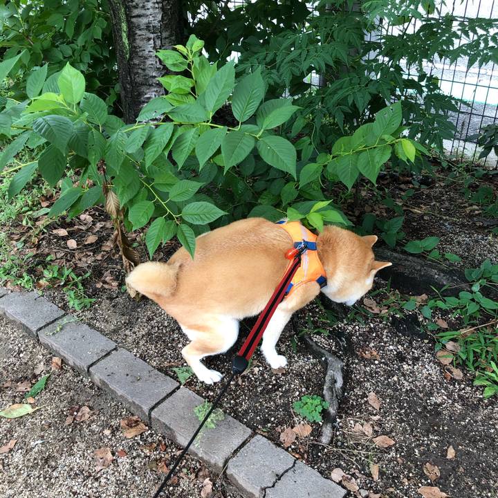 C7609815 0a7d 40e1 bbb3 1fbe91fc9d6a 1593344941581