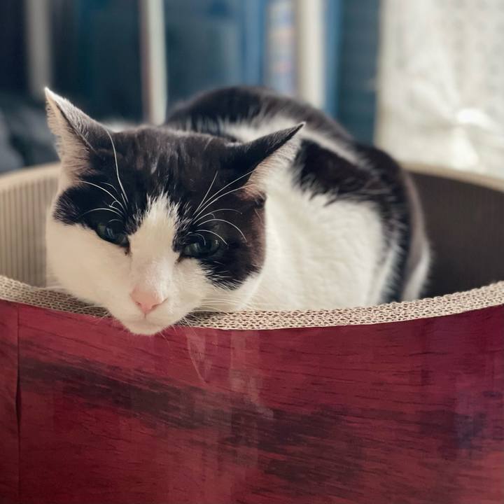 C760aa38 6dbc 460a 85d0 e8471558908a 1646877081751