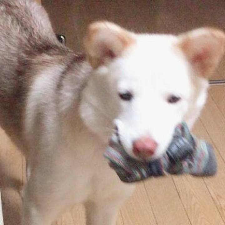 C760bf38 29ea 4f0a b71e 92385ef3d2aa 1513088641074