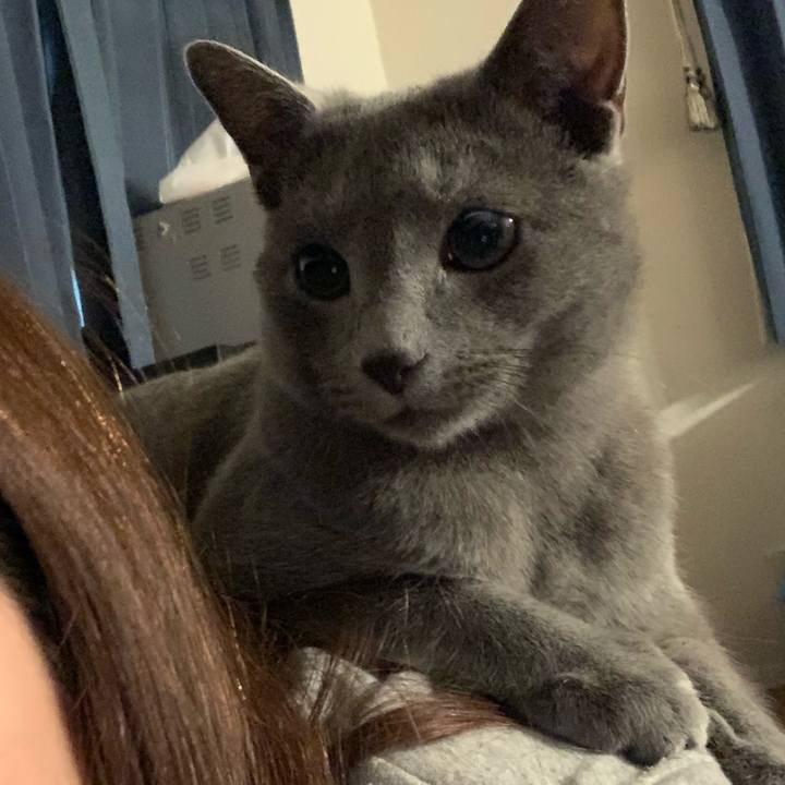 C760e431 5e95 41af 8f87 f2cb32558502 1580981542432