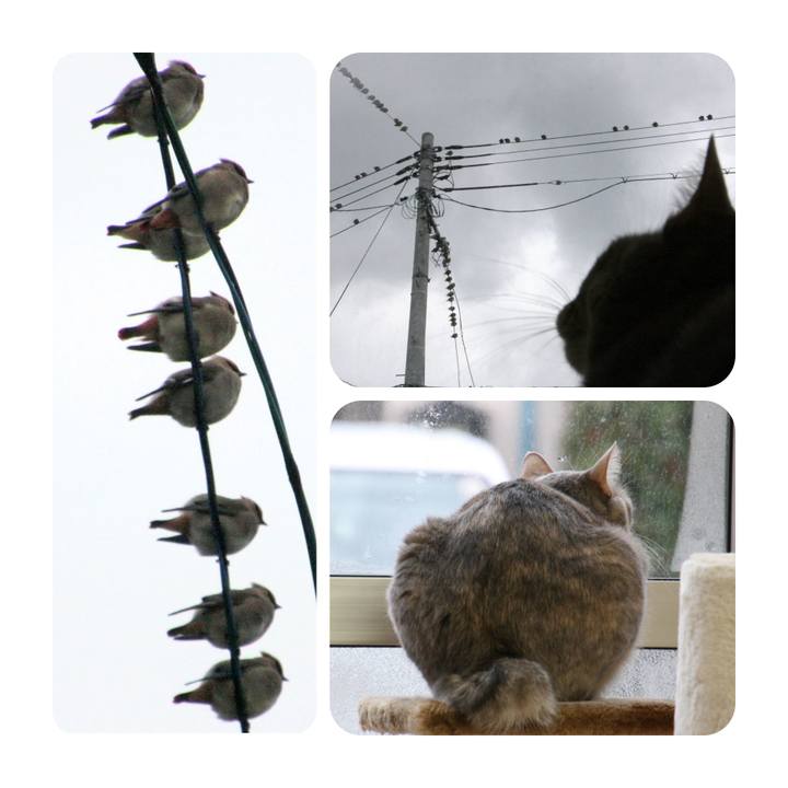 C760e550 3f2d 4efc 942e ebd2d089cdb1 1520678446627