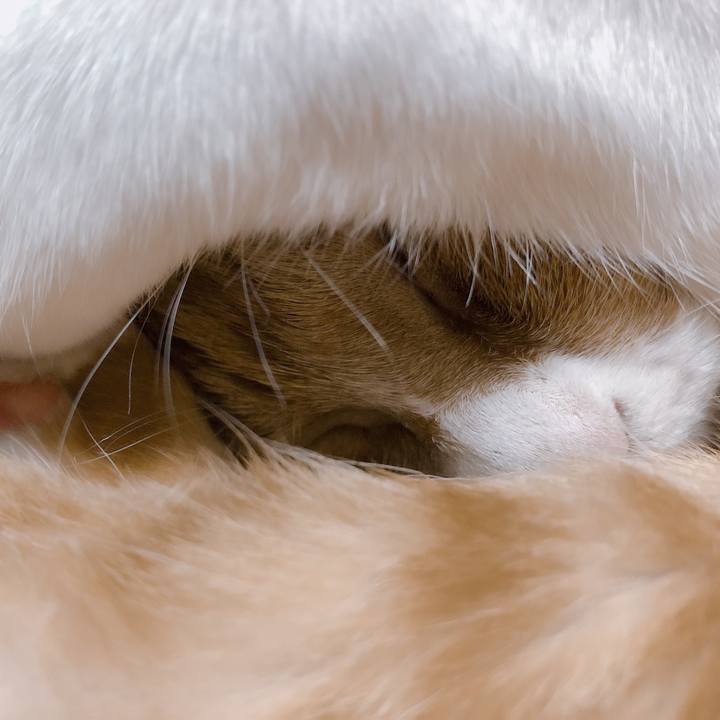 C760f3e1 478e 4021 b786 6bee753b73d6 1571144521672