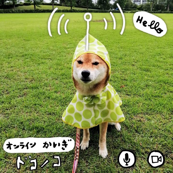 C7615408 108c 4b2b 8f4d 881742fb13e0 1593493393105