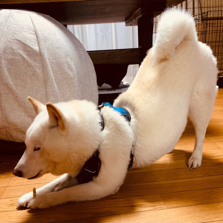 C76175d0 2930 4137 bf90 8c96cb4c789c 1664572287126