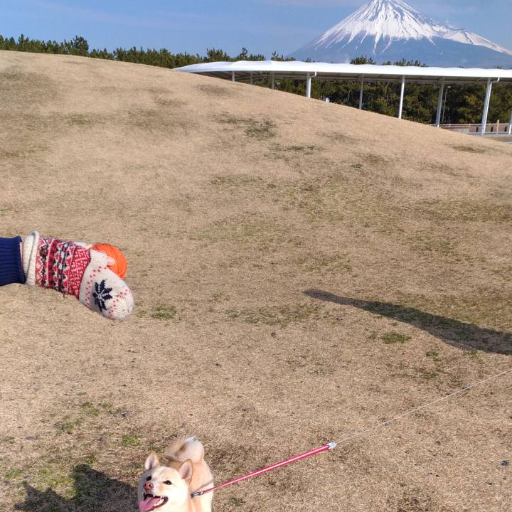 C76176be 587e 4db7 993a 5338e87178c5 1517221425955