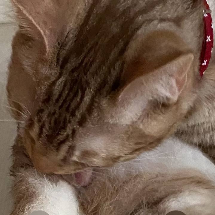 C7619006 f1ae 43e5 9bbd 8f825bbe0527 1675060471098