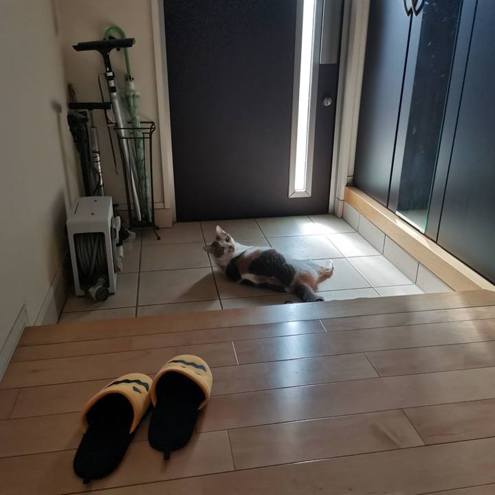 C7619fb9 aa22 4e10 a009 e330a3b1874a 1651808631945