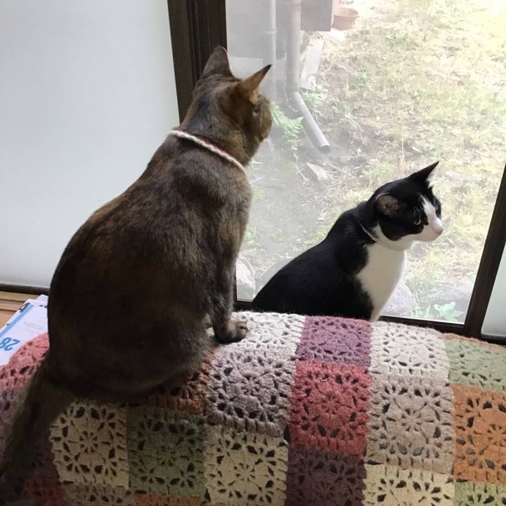 C761e6cd 0f6f 4e8d 893f efc1bd37b769 1655283315447