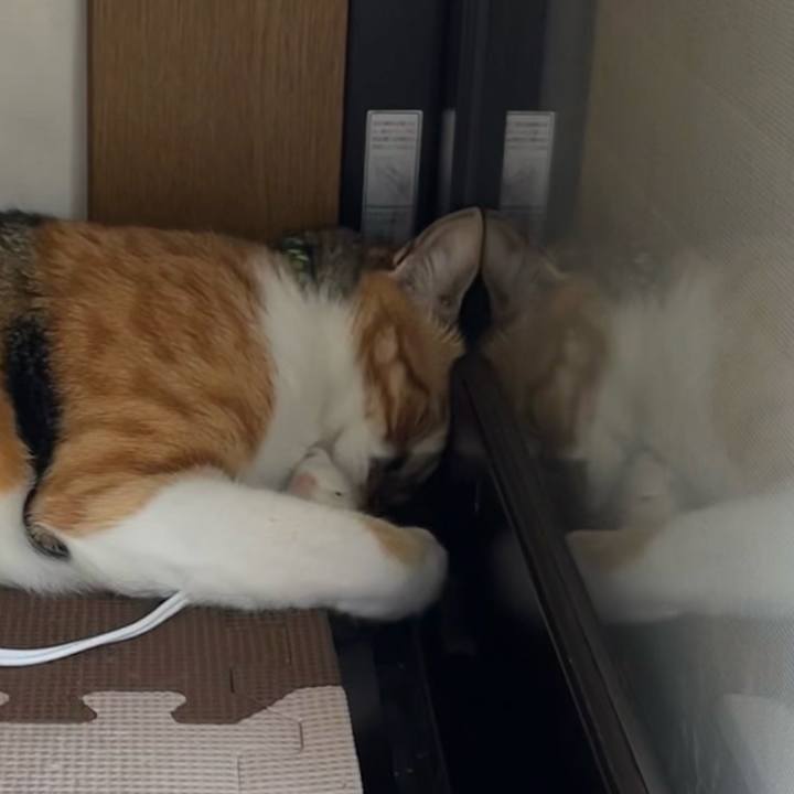 C761ed25 ef3c 4cf9 b2c4 d66a7541ccea 1690702142382